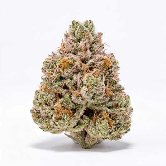 GIRLS SCOUT COOKIES - HIGH FLOWER